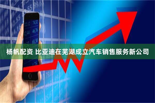 杨帆配资 比亚迪在芜湖成立汽车销售服务新公司